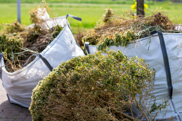 Best Yard Waste Removal  in East Richmond Heights, CA